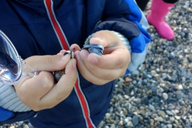 Naturaleza costera: un taller para los más chicos en el Centro de Interpretación de Aves