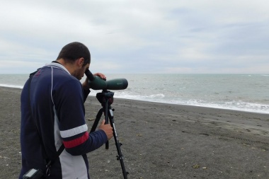 Cine y observación de aves, las propuestas para sumarse al “Global Big Day” en Río Grande