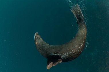 Este viernes se estrena el documental “Yaganes” por Nat Geo