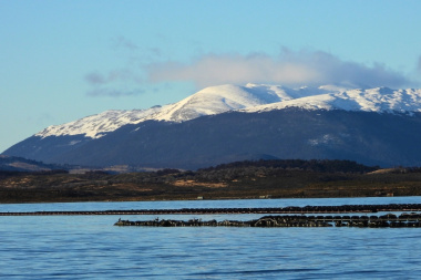 Especialistas analizan el canal Beagle para el primer cultivo de mejillones a escala industrial