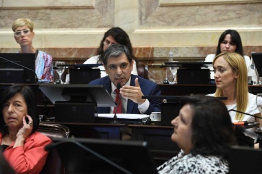 Rodríguez pidió a la oposición “que se haga cargo de lo que le hicieron a los argentinos”.