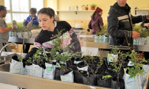 Un bosque en la Escuela de Chacra XIII: Aprender entre lengas y guindos
