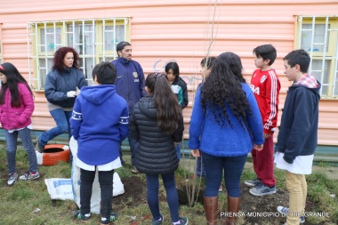 Chicos y profes plantaron árboles para embellecer la escuela