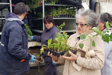 Continúa la entrega de plantines y árboles a vecinos de la ciudad