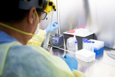 Por octavo día consecutivo, no se registraron casos positivos de coronavirus en Tierra del Fuego