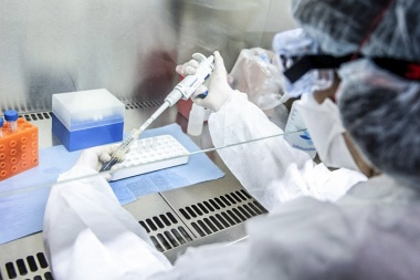 Tierra del Fuego suma su noveno día consecutivo sin casos positivos de coronavirus