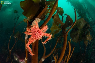 Este jueves, National Geographic estrena el documental “Yaganes” en Ushuaia