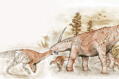 Descubren una nueva especie de dinosaurio en un sorprendente yacimiento de Santa Cruz