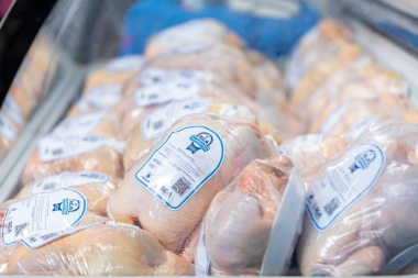 La empresa municipal ‘Río Grande Activa’ espera producir 25 mil pollos durante el año próximo