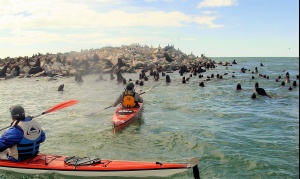 Isla de los Lobos: Del abandono político al potencial turístico