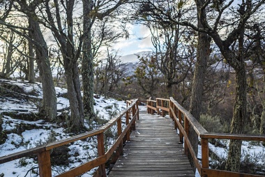 Lanzaron 'Argentina Natural', una nueva app que permite recorrer los parques nacionales