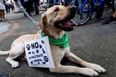 Una marcha por los derechos de los animales