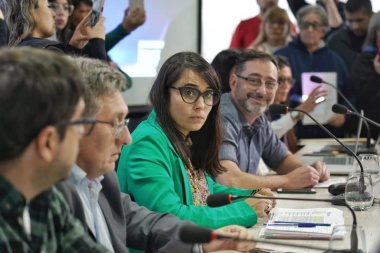 Polémica por la aprobación del RIGI en Ushuaia: “Es una buena herramienta”, defendió concejal del PRO