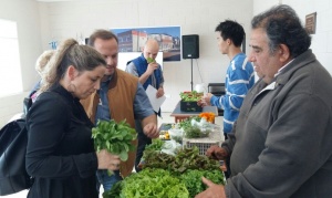 Restaurantes y hoteles podrían sumar hortalizas locales a sus menús