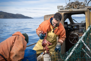 Proponen crear un programa para impulsar el desarrollo de alimentos en Tierra del Fuego