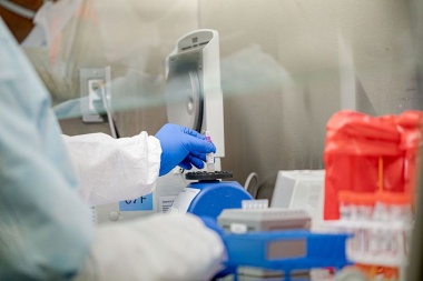 En Malvinas, los isleños ya cuentan con laboratorio para analizar hisopados de Covid-19