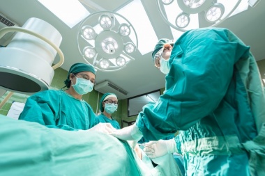 Cifra récord: en 2019 ya se realizaron más de 260 trasplantes en todo el país