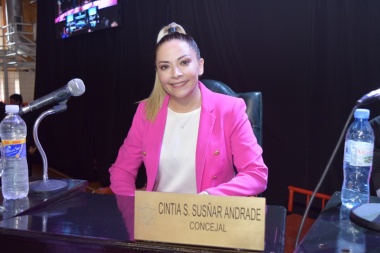 Desde el Concejo Deliberante proponen que Río Grande adhiera a la ‘Ley Micaela’