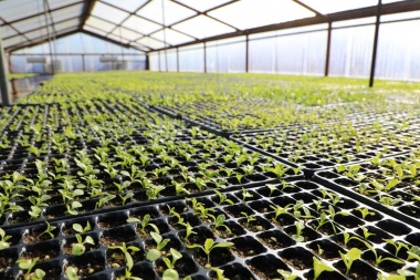 La nueva temporada de 'Huertas Urbanas' se prepara con más de 75 productores locales