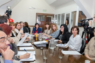 "Necesitamos una atención más personalizada en los CAPS", dijo Martínez Allende