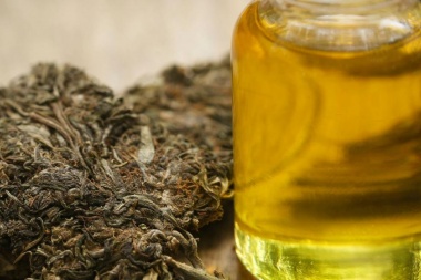La Legislatura analiza la adhesión a la Ley Nacional del uso del cannabis medicinal