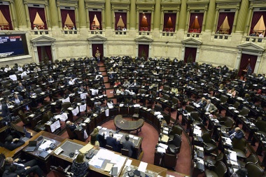 Los diputados fueguinos, entre los que menos hablaron en el recinto durante todo 2019