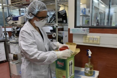 Tierra del Fuego comenzará esta semana a recibir reactivos para detectar coronavirus