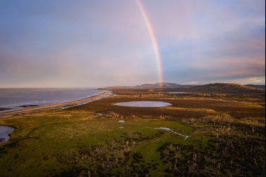 La biodiversidad de Península Mitre, un bastión contra la crisis climática