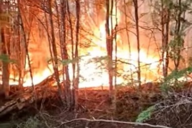 Alerta por un nuevo incendio forestal detectado en cercanías al complejo Villa Marina