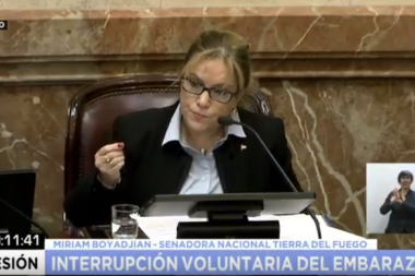 Boyadjián en el debate por el aborto: “Si los ofendí les pido disculpas”