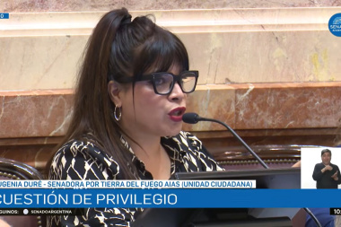 Senadores fueguinos cargaron contra el DNU de Milei que autoriza el ingreso de tropas al país