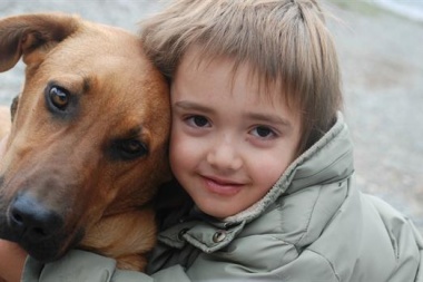 Hoy se celebra el Día Internacional del Perro Callejero