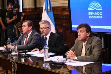 ARA San Juan: La Comisión bicameral del Senado citó a Aguad para el 17 de abril