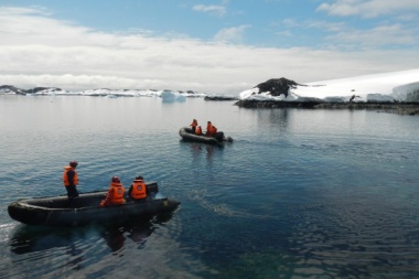 Hallazgo científico: detectan presencia de mejillones en la península antártica