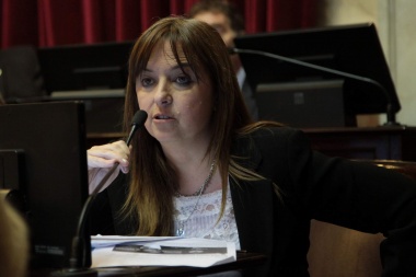 Senadora de Río Negro propone crear una comisión para el cumplimiento de la ley