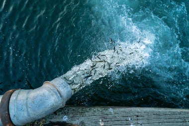 'Artifishal', el documental que denuncia el efecto de las salmoneras se estrena en Ushuaia
