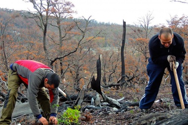 Gobierno otorgó financiamiento a dos proyectos orientados a la protección de bosques