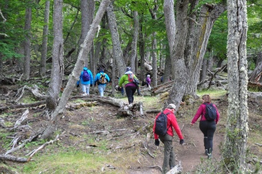 Senderismo en Tierra del Fuego: ¿Qué se debe tener en cuenta al organizar una salida?