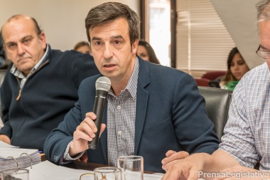 Reforma Política: “El método utilizado en 2015 no dio los resultados esperados”, dijo Rubinos