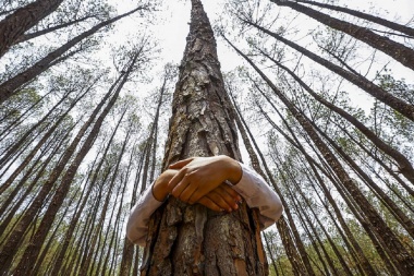 Día Mundial del Medio Ambiente: “Un día para volver a conectarnos con la naturaleza”