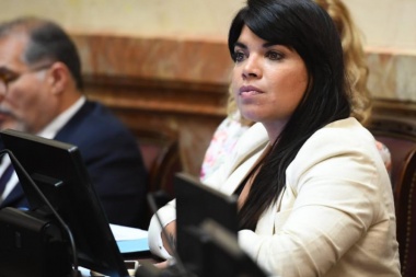 Duré integrará la Comisión de Salud del Senado de la Nación