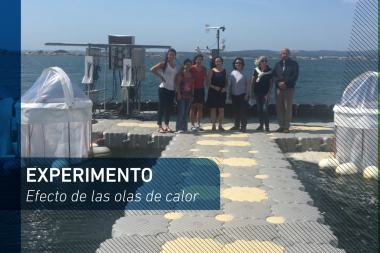 El CADIC forma parte de un grupo internacional que estudia efectos de las olas de calor
