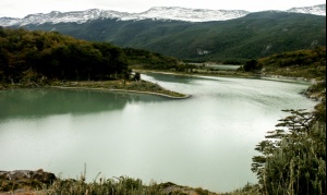 El Día Internacional de los Bosques se festejará en ocho parques nacionales