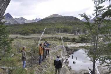 Funcionarios nacionales recorrieron áreas de bosques impactadas por castores