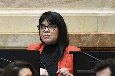 Duré pidió al Gobierno que informe sobre el avión militar inglés que voló sobre territorio argentino