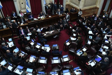 Senadores tratan mañana el decreto de Nación que eliminó el Fondo de la Soja