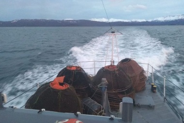 Prefectura captura centollas y trampas clandestinas en el Canal Beagle