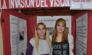 Feria de Ciencias: El Visón, una especie invasora que pocos conocen