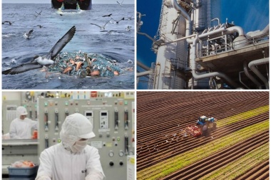 Alimentos, pesca y petroquímica, el perfil que se discute para el subrégimen industrial fueguino