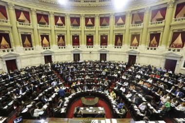 Congelan las dietas de los diputados y senadores por 180 días